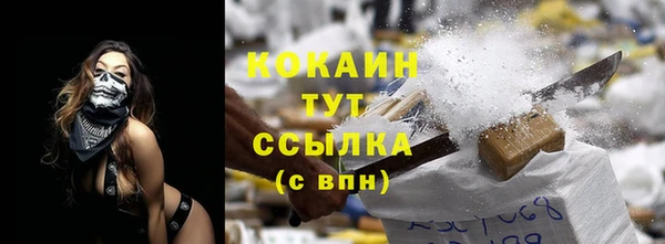 бошки Бородино