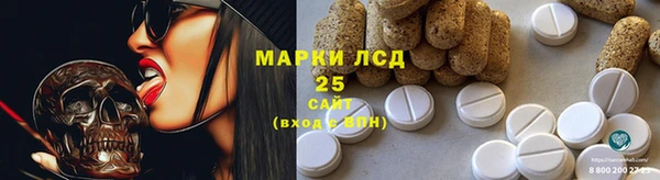 бошки Бородино