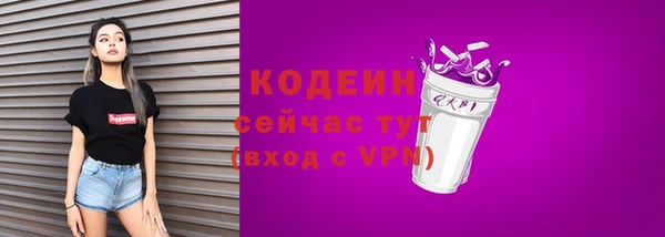 бошки Бородино