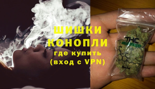бошки Бородино