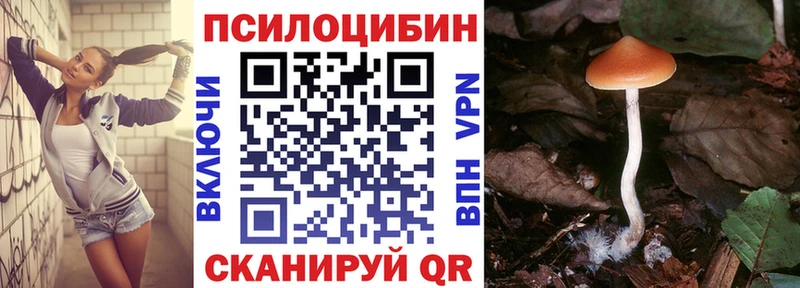 Псилоцибиновые грибы Magic Shrooms Невьянск